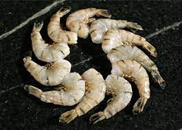 Black Tiger Shrimp